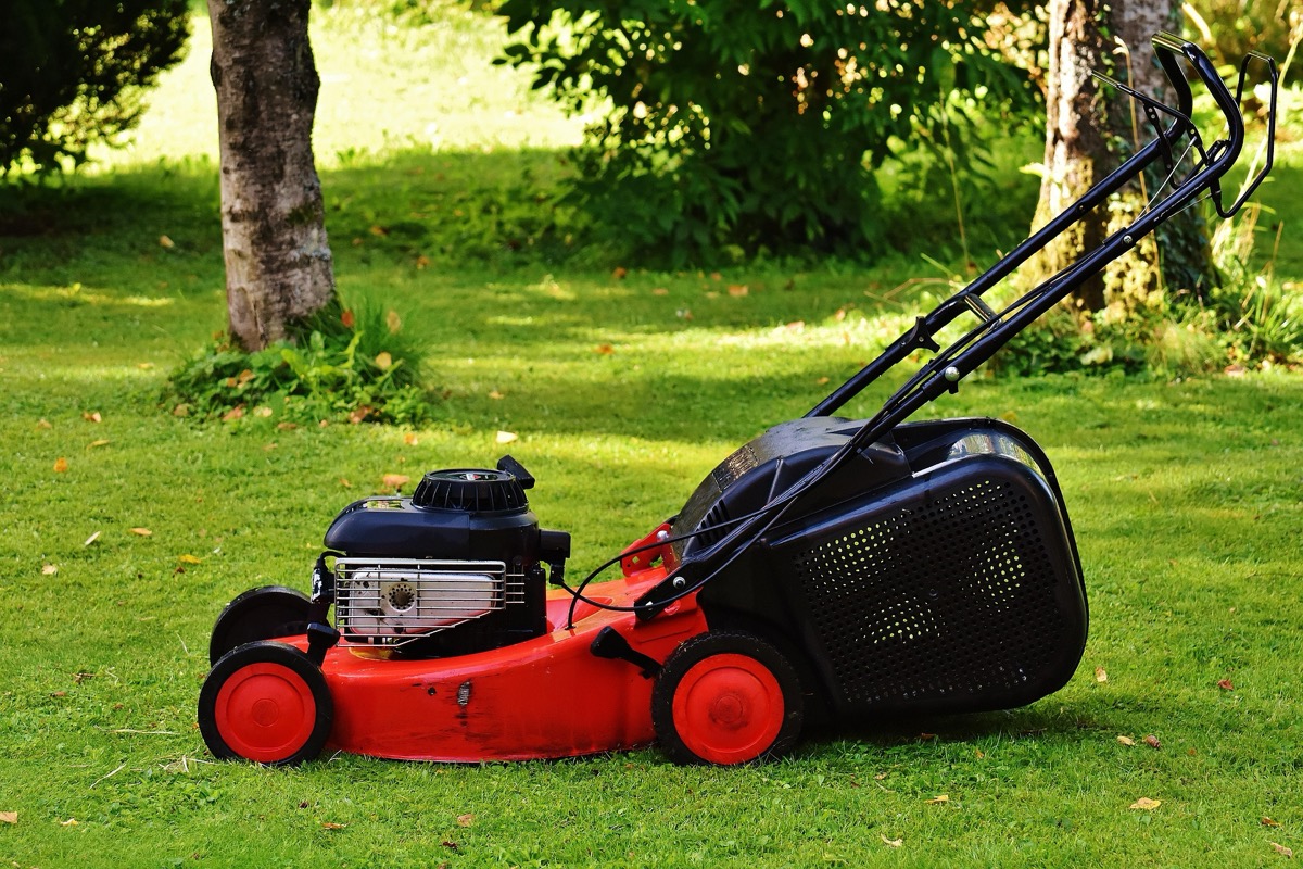 Matias Lawn Services: 25 Years of Canton Curb Appeal