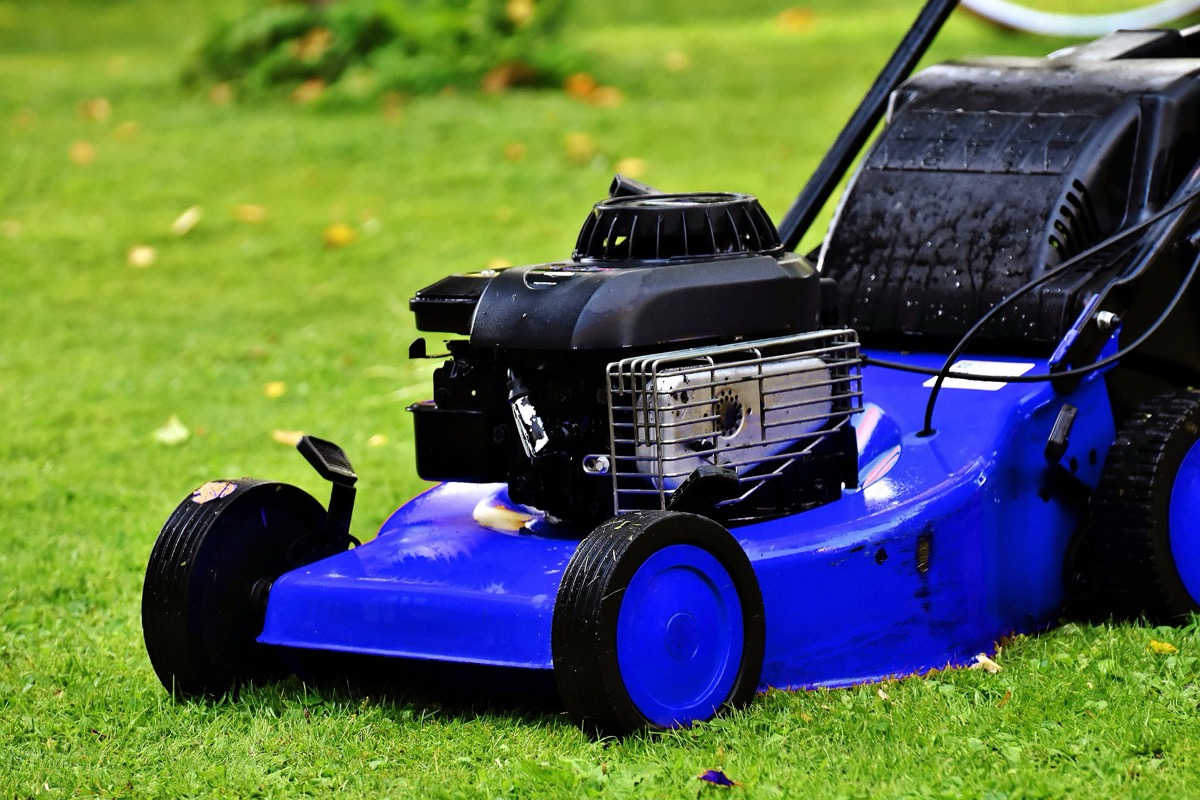Mustard Seed Landscaping: Personal, Hands-On Yard Care in Canton